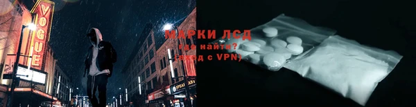 СК Алексин