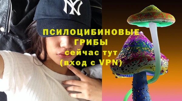 дмт Абаза