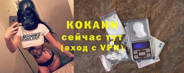 шишки Абинск