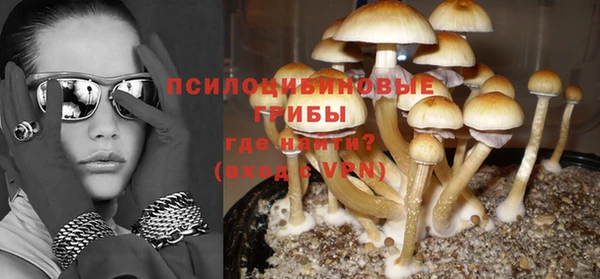 гидропоника Алзамай