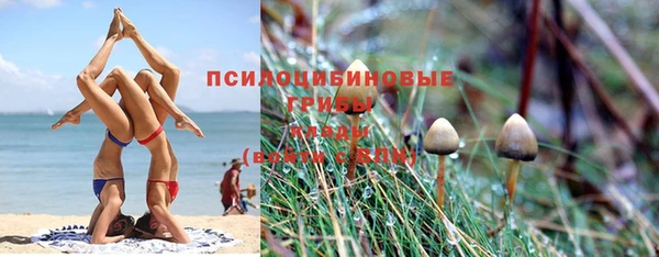 гидропоника Алзамай