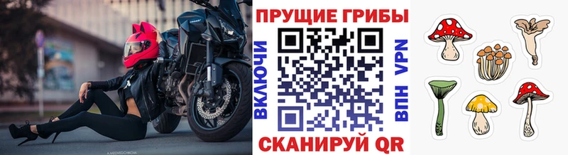 Галлюциногенные грибы ЛСД  Сафоново 